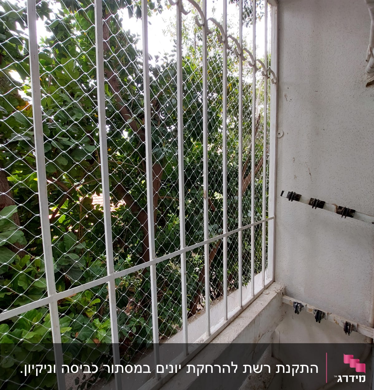 רשת מתכת על חלון למניעת כניסת יונים